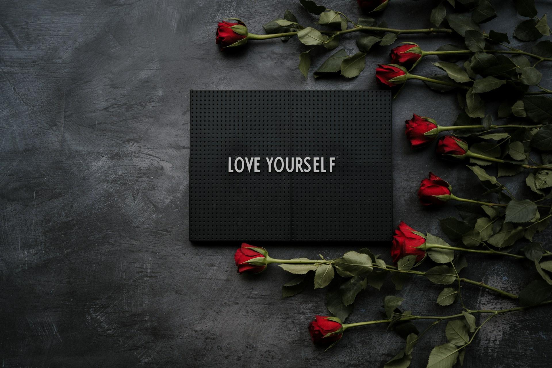 Annie spratt wqc8hvau2sy unsplash