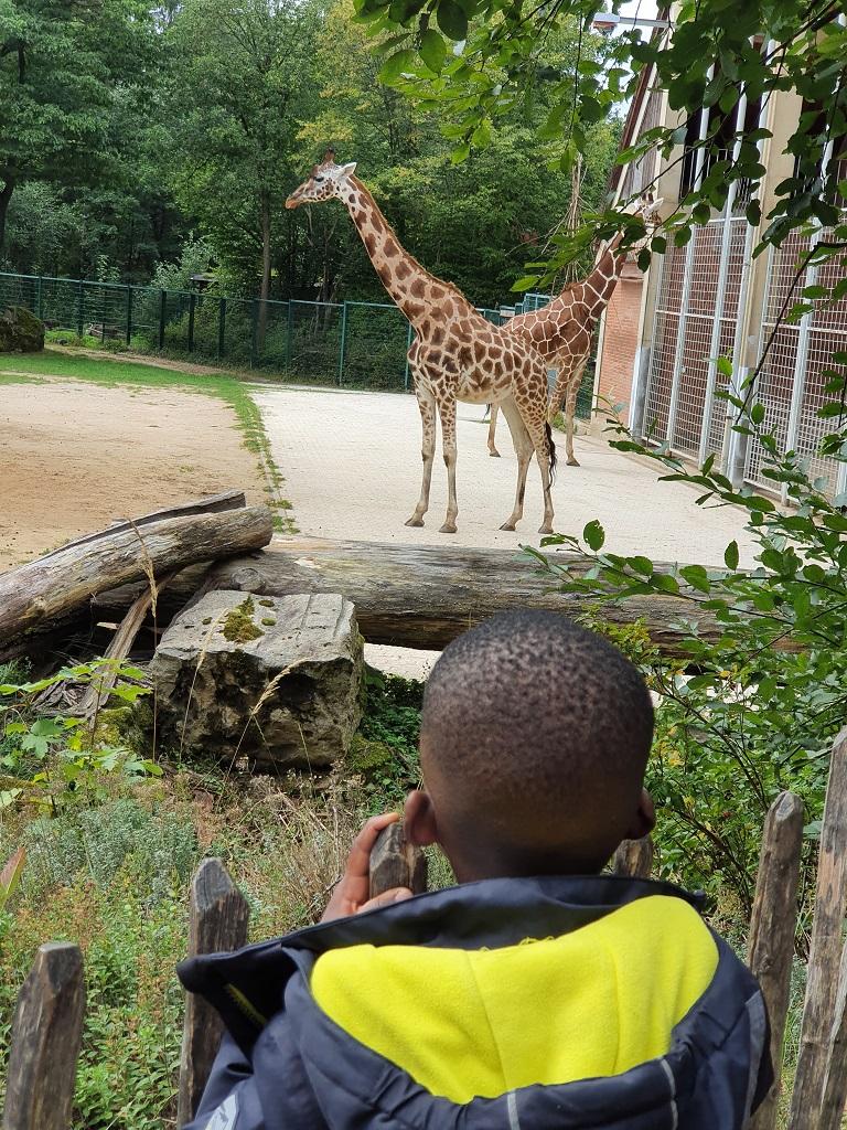 Zoo